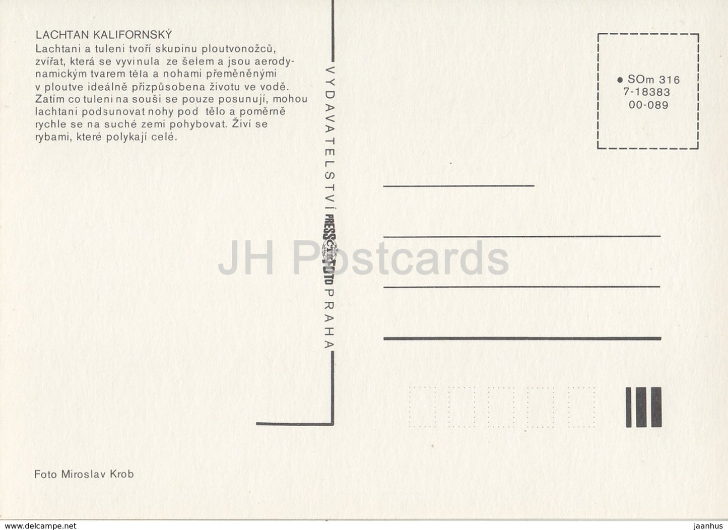 California sea lion - Zalophus californianus - Zoo - Czechoslovakia - Czech Republic - unused