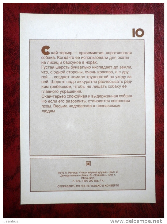 Skye Terrier - dogs - 1991 - Russia - USSR - unused - JH Postcards