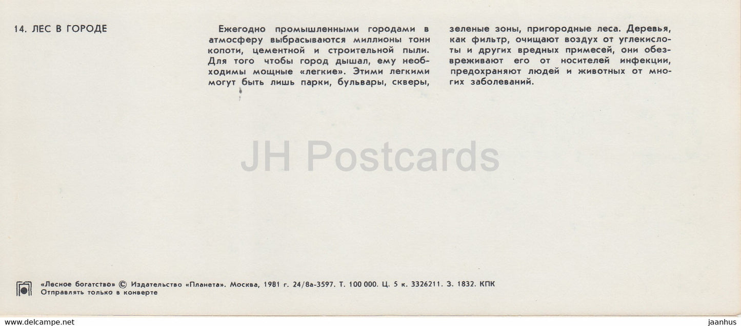 In the Park - Forest Wealth - 1981 - Russia USSR - unused