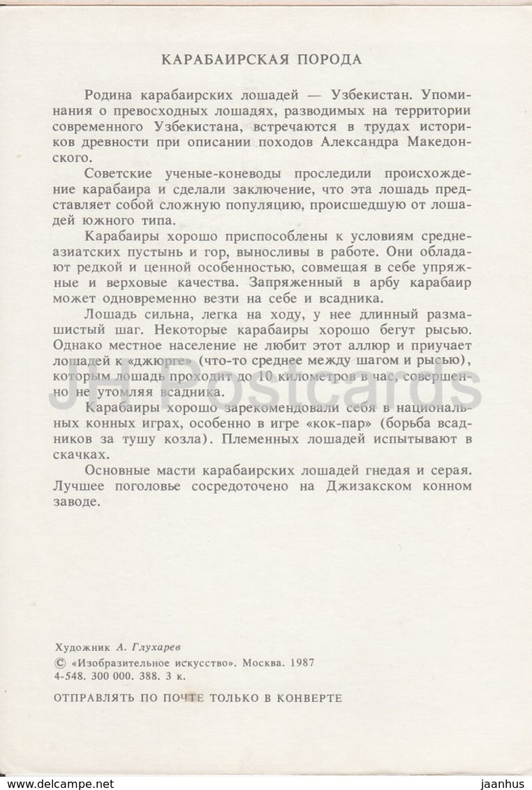 Karabair horse - illustration by A. Glukharev - horses - animals - 1988 - Russia USSR - unused - JH Postcards