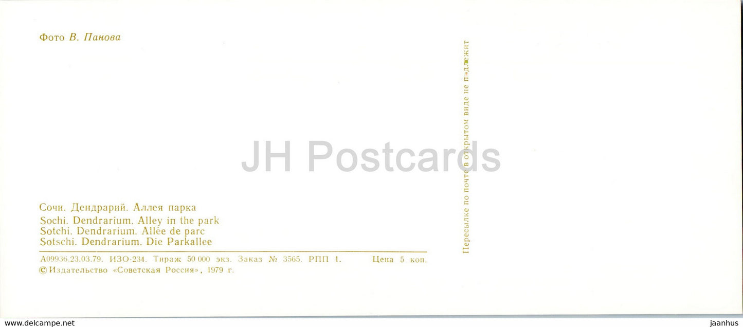 Sochi - Dendrarium - Alley in the Park - 1979 - Russia USSR - unused