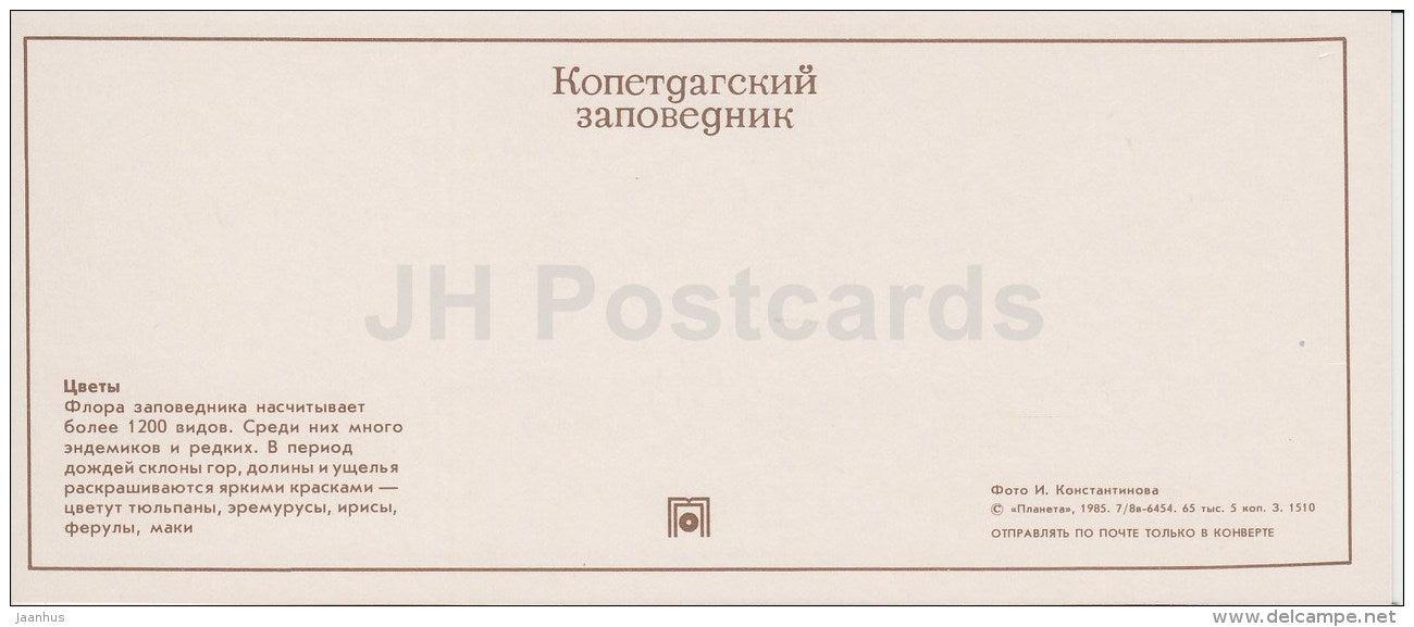 Field Flowers - Kopet Dagh Nature Reserve - 1985 - Turkmenistan USSR - unused - JH Postcards