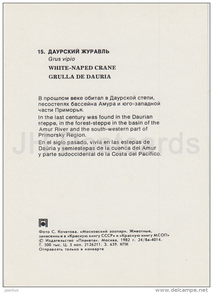White-naped crane - Grus vipio - bird - Moscow Zoo - 1982 - Russia USSR - unused - JH Postcards