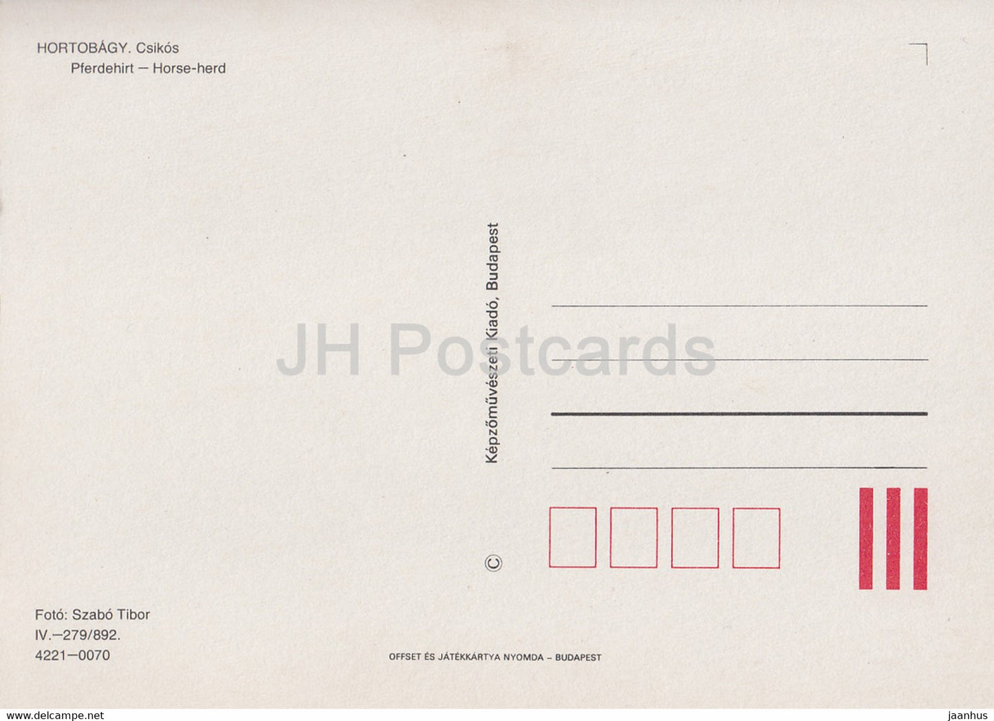 Hortobagy - Csikos - Horse Herd - Hungary - unused