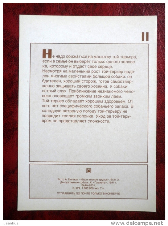 Toy Terrier - dogs - 1991 - Russia - USSR - unused - JH Postcards