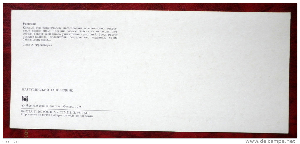 Plants - bee - Barguzinsky Nature Reserve - near lake Baikal - 1975 - Russia USSR - unused - JH Postcards