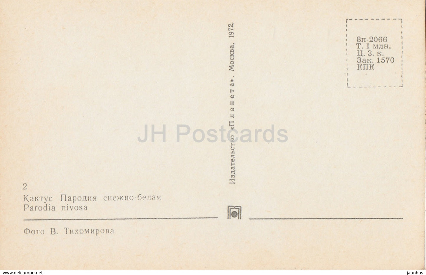 The powder puff cactus - Parodia nivosa - Cactus - Flowers - 1972 - Russia USSR - unused - JH Postcards