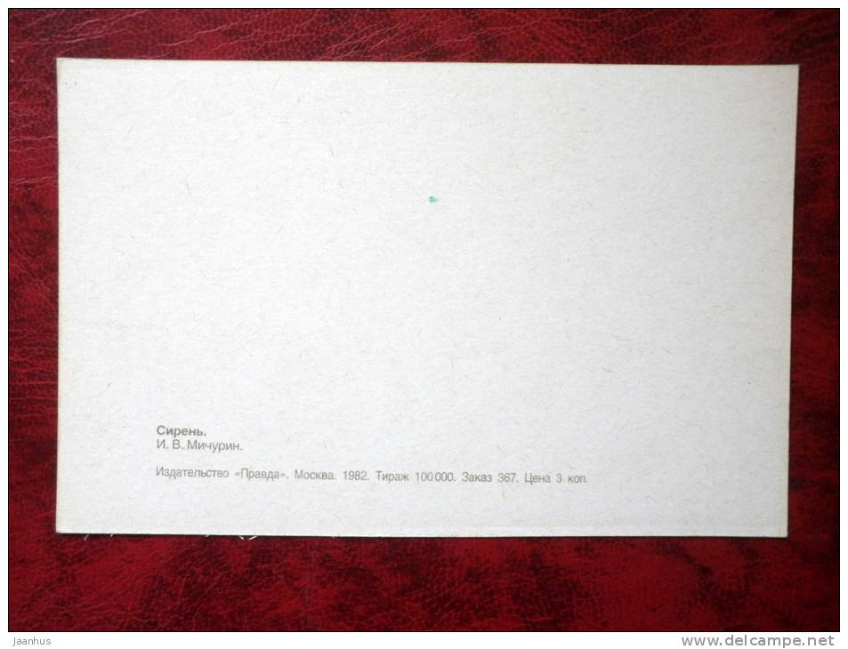 lilac - plants - flowers - 1982 - Russia - USSR - unused - JH Postcards