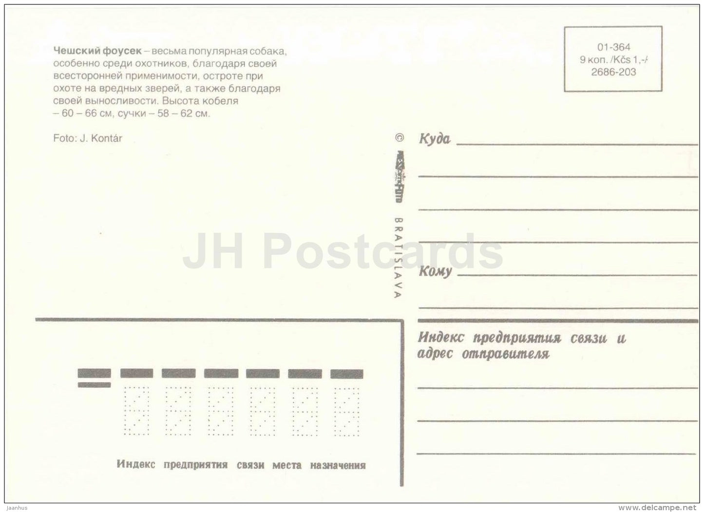 Cesky Fousek - dog - Russia USSR - unused - JH Postcards