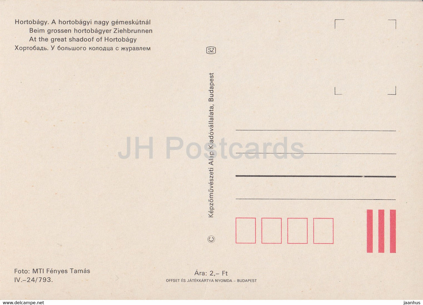 Hortobagy – Am großen Schatten Hortobagy – Pferd – Ungarn – unbenutzt
