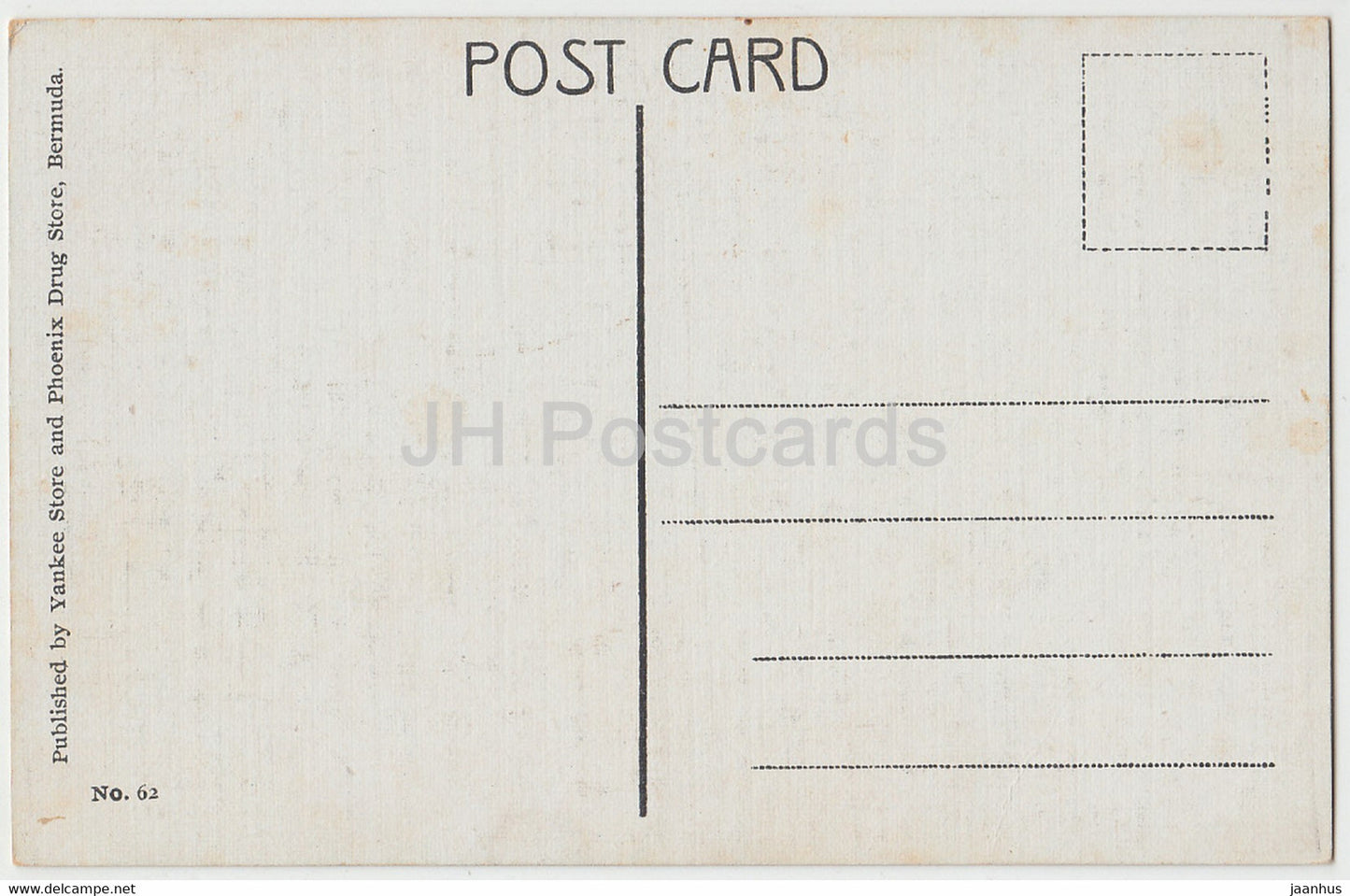 Riesiger Gummibaum – Bermuda – gepflanzt 1847 – alte Postkarte – Bermuda – unbenutzt