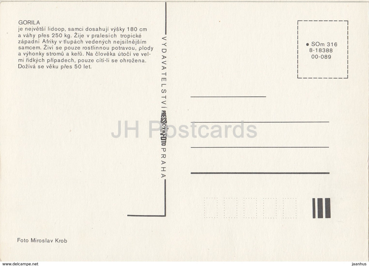 Gorilla - Zoo - Czechoslovakia - Czech Republic - unused