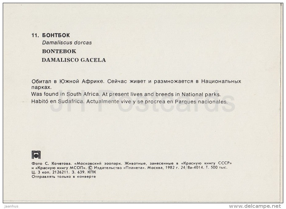 Blesbok - Damaliscus dorcas - Moscow Zoo - 1982 - Russia USSR - unused - JH Postcards