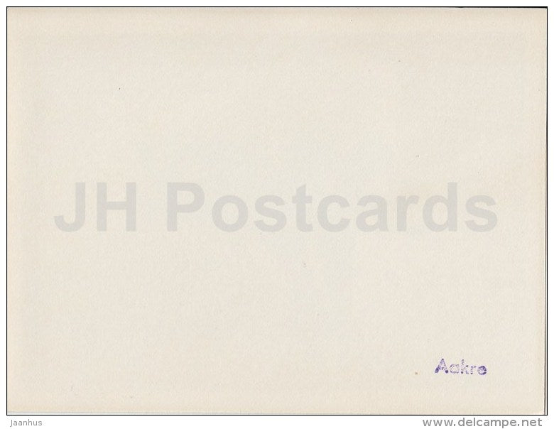 wild boar - 2 - photo - Estonia USSR - unused - JH Postcards