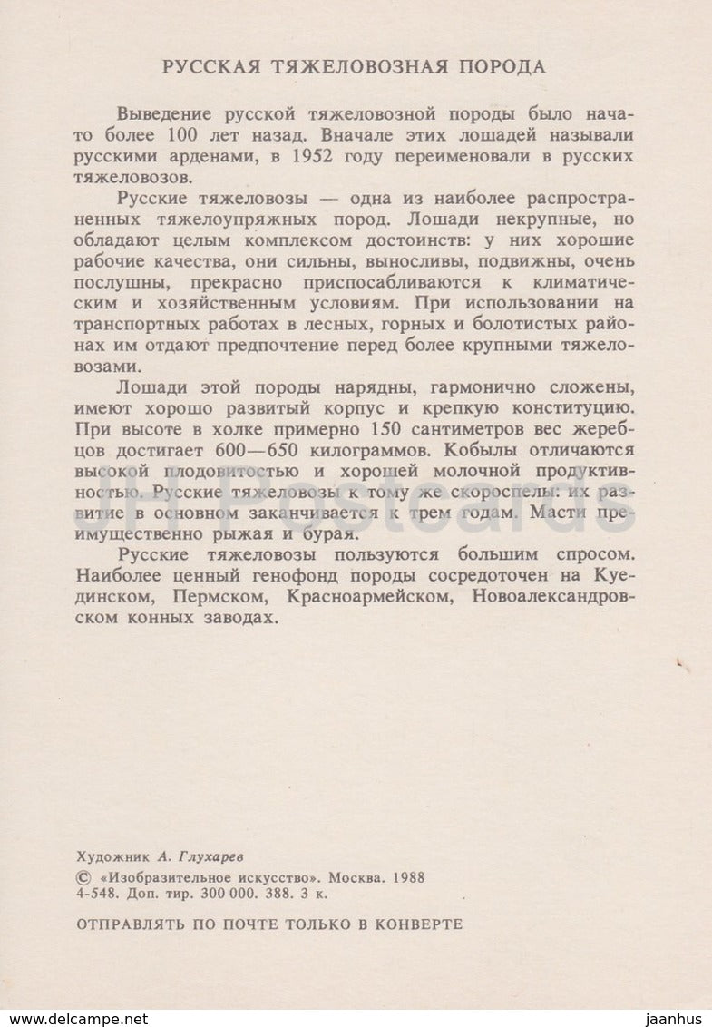 Russian Heavy Draft Horse - illustration by A. Glukharev - horses - animals - 1988 - Russia USSR - unused - JH Postcards