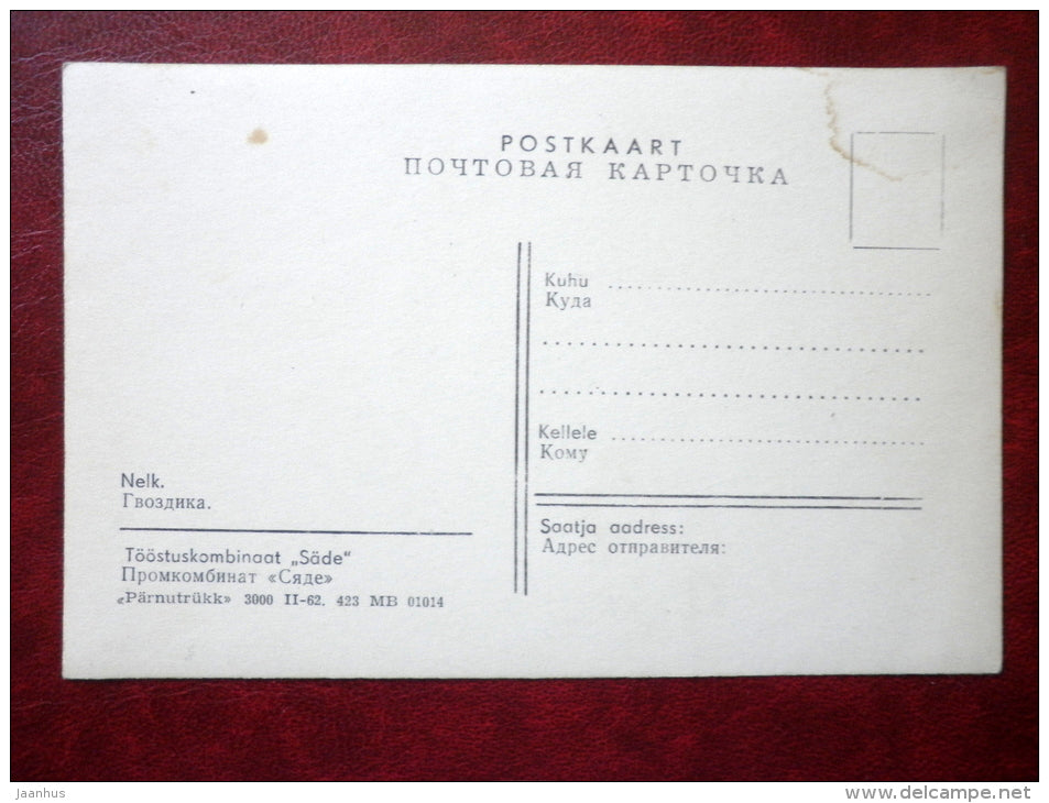 carnations - flowers - 1962 - Estonia USSR - unused - JH Postcards