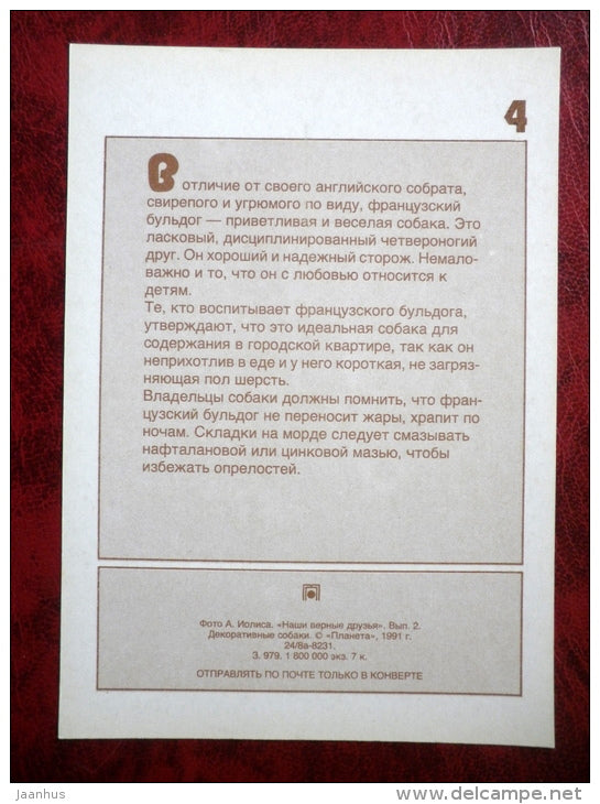 French Bulldog - dogs - 1991 - Russia - USSR - unused - JH Postcards