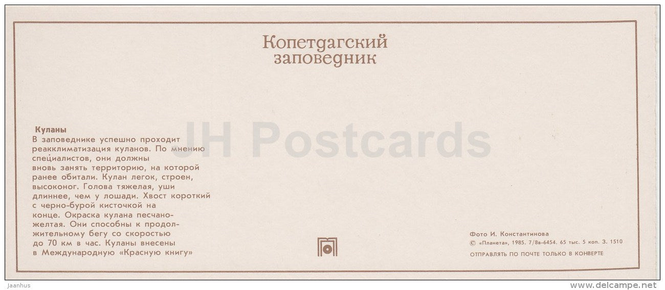 Onager - Kopet Dagh Nature Reserve - 1985 - Turkmenistan USSR - unused - JH Postcards