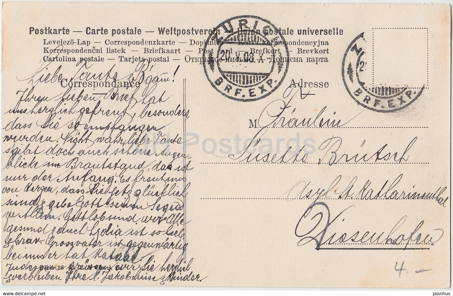 white rose - flowers - illustration by M. Andreossi - old postcard - 1908 - used