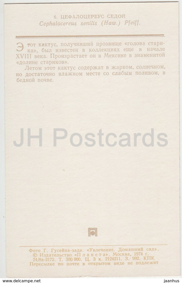 Cephalocereus senilis - cactus - fleurs - 1974 - Russie URSS - inutilisé