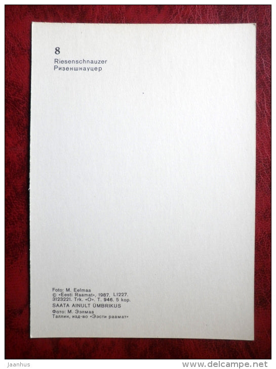 Riesenschnauzer - dogs - 1987 - Estonia - USSR - unused - JH Postcards