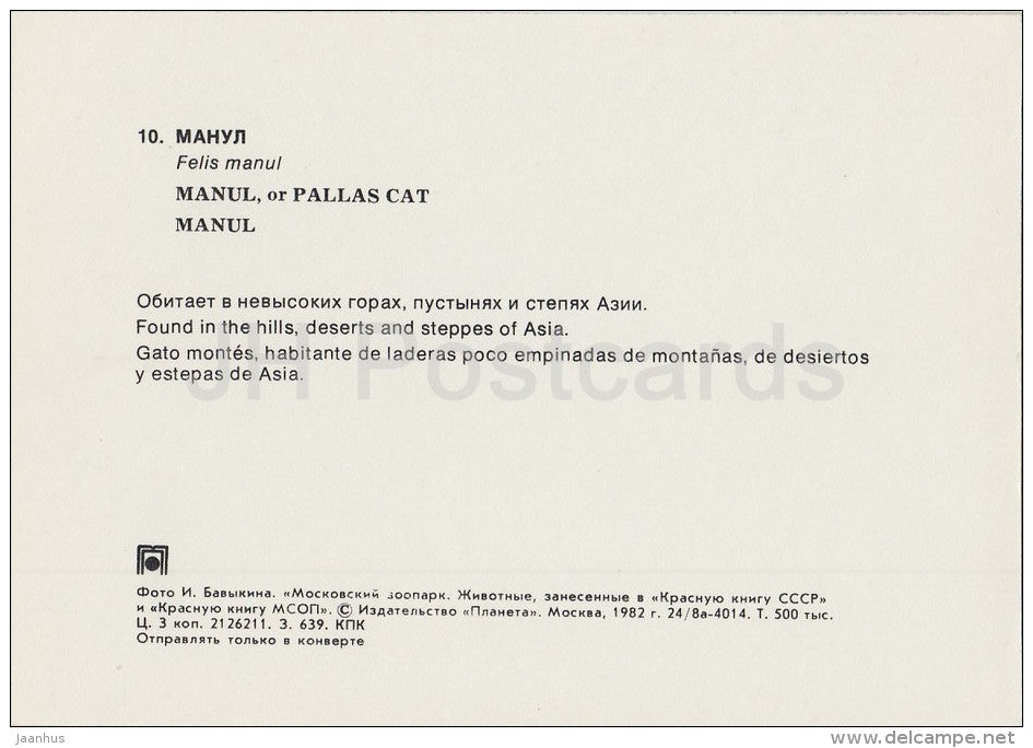 Pallas's cat - Otocolobus manul - Moscow Zoo - 1982 - Russia USSR - unused - JH Postcards