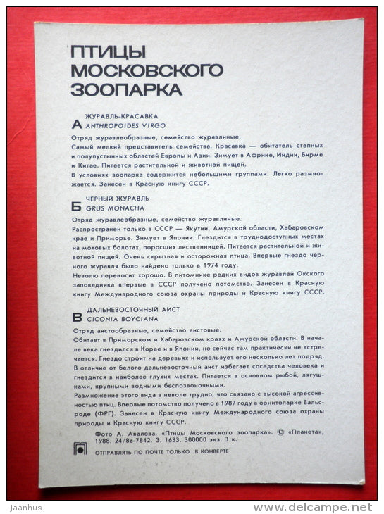 Demoiselle crane - Hooded crane - Oriental stork - Moscow Zoo Birds - 1988 - Russia USSR - unused - JH Postcards