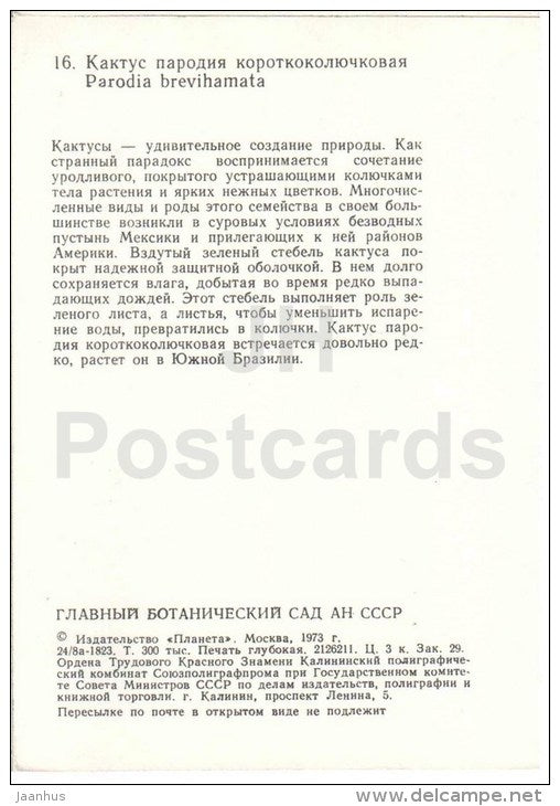 parodia brevihamatus - cactus - Botanical Garden of the USSR - Moscow - 1973 - Russia USSR - unused - JH Postcards