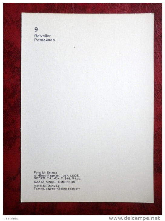 Rottweiler - dogs - 1987 - Estonia - USSR - unused - JH Postcards
