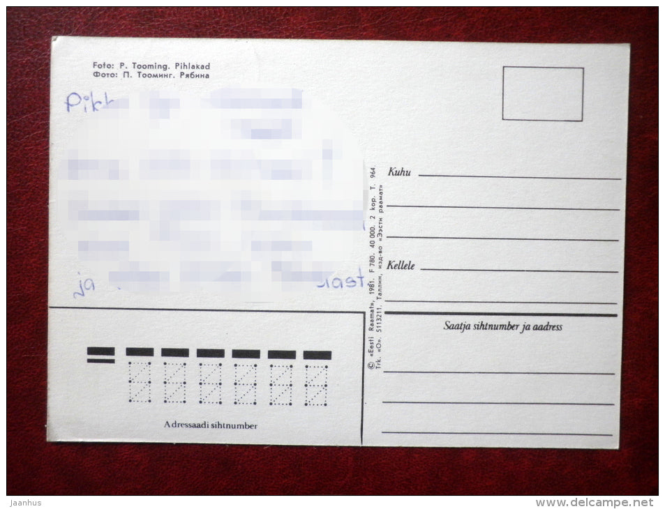 Greeting card - rowan berries - plants - 1981 - Estonia USSR - used - JH Postcards