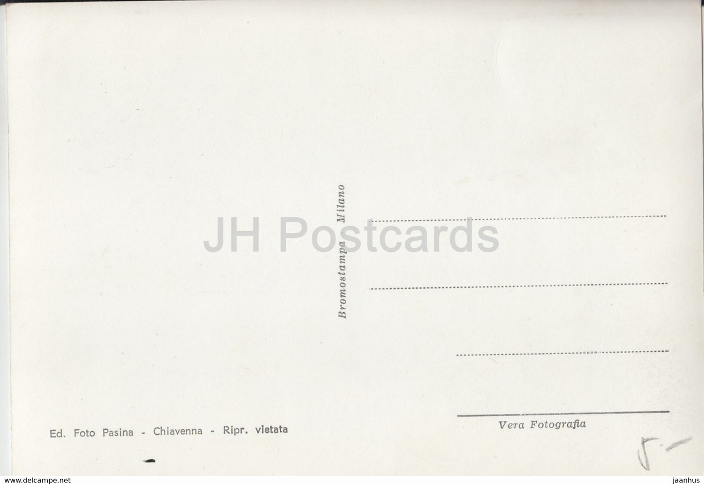 Monte Spugla 1908 m - dog - Italy - unused