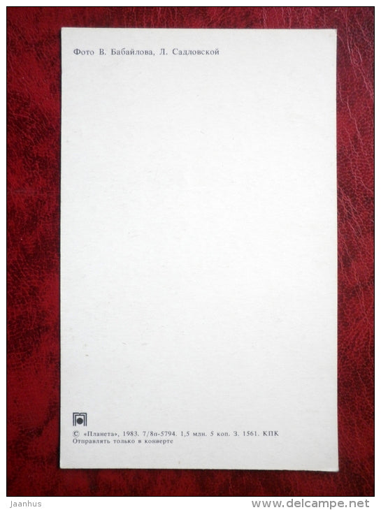 greeting card - flowers - 1983 - Russia - USSR - unused - JH Postcards