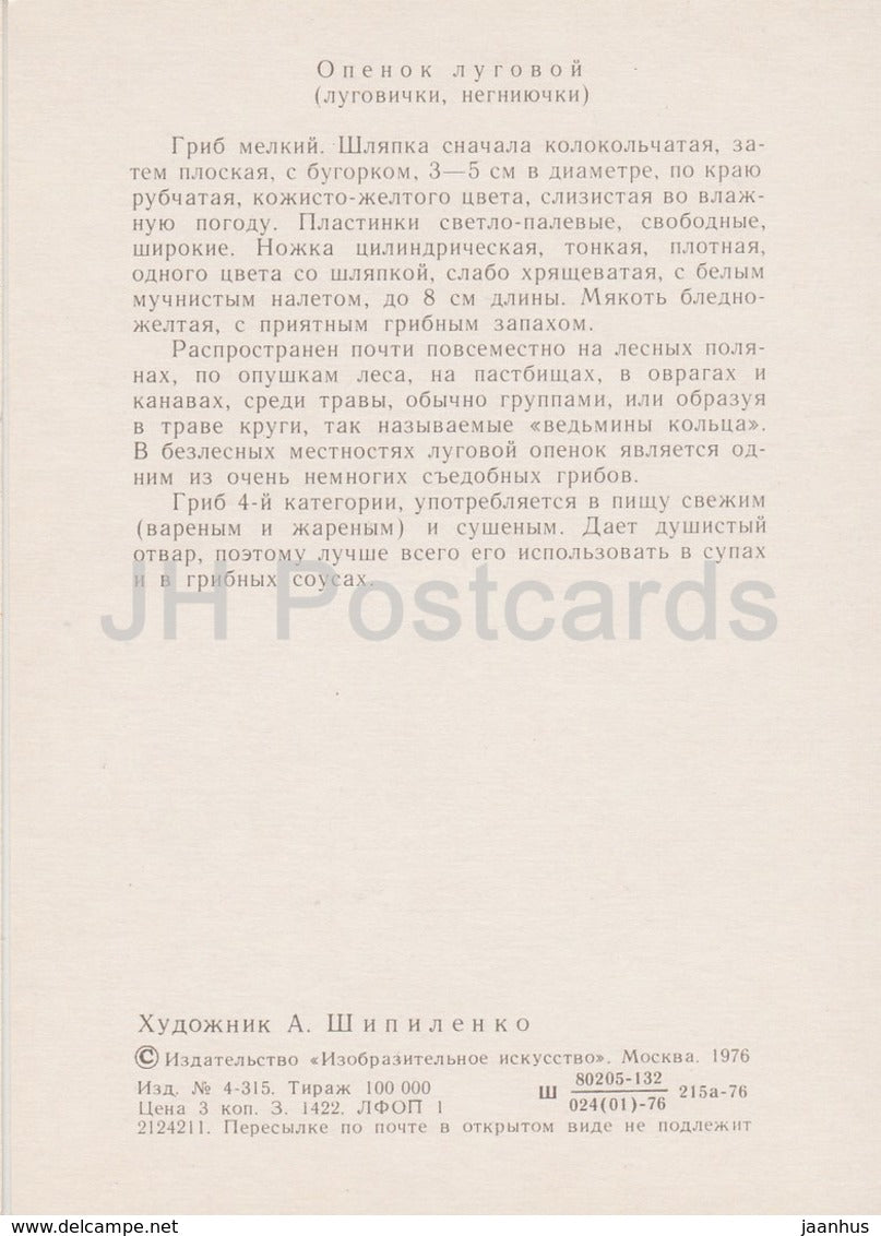 Fairy ring mushroom - Marasmius oreades - illustration by A. Shipilenko - Mushrooms - 1976 - Russia USSR - unused - JH Postcards