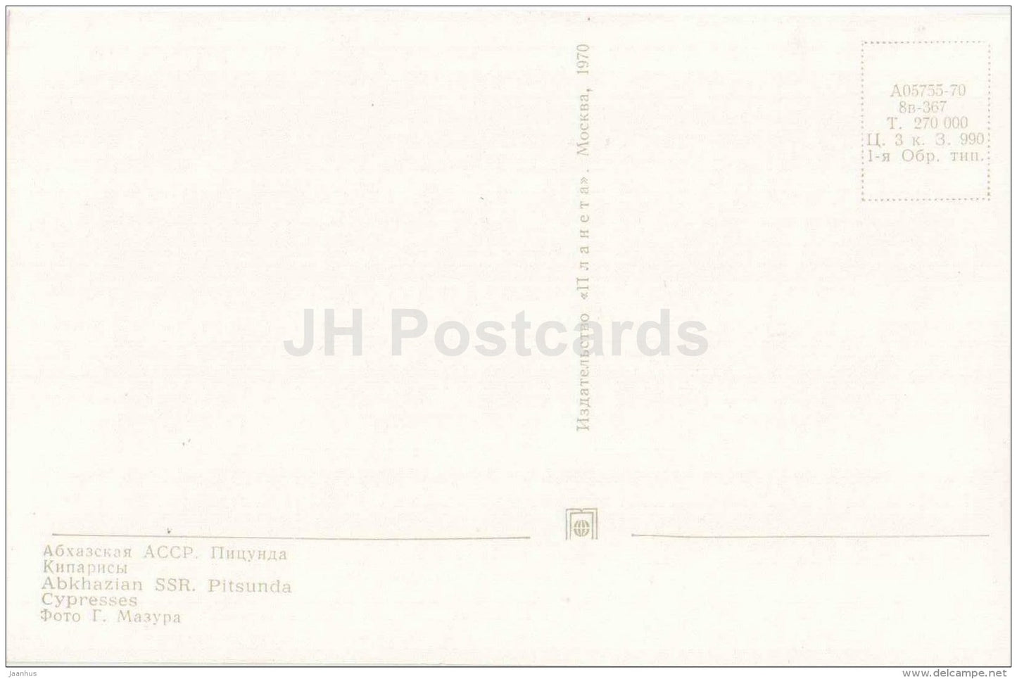 cypresses - Pitsunda - Abkhazia - 1970 - Georgia USSR - unused - JH Postcards