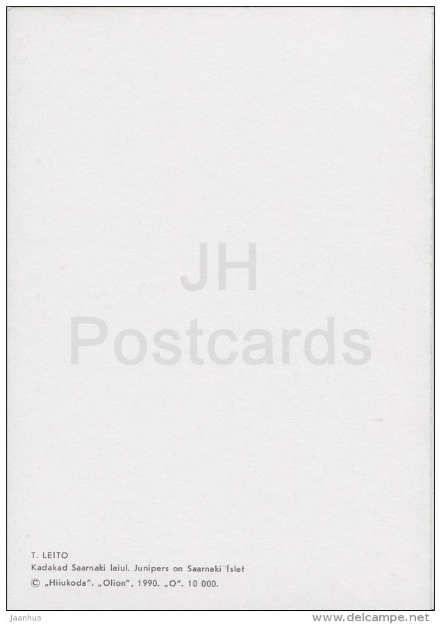 Junipers on Saarnaki islet - Hiiumaa island - 1990 - Estonia USSR - unused - JH Postcards