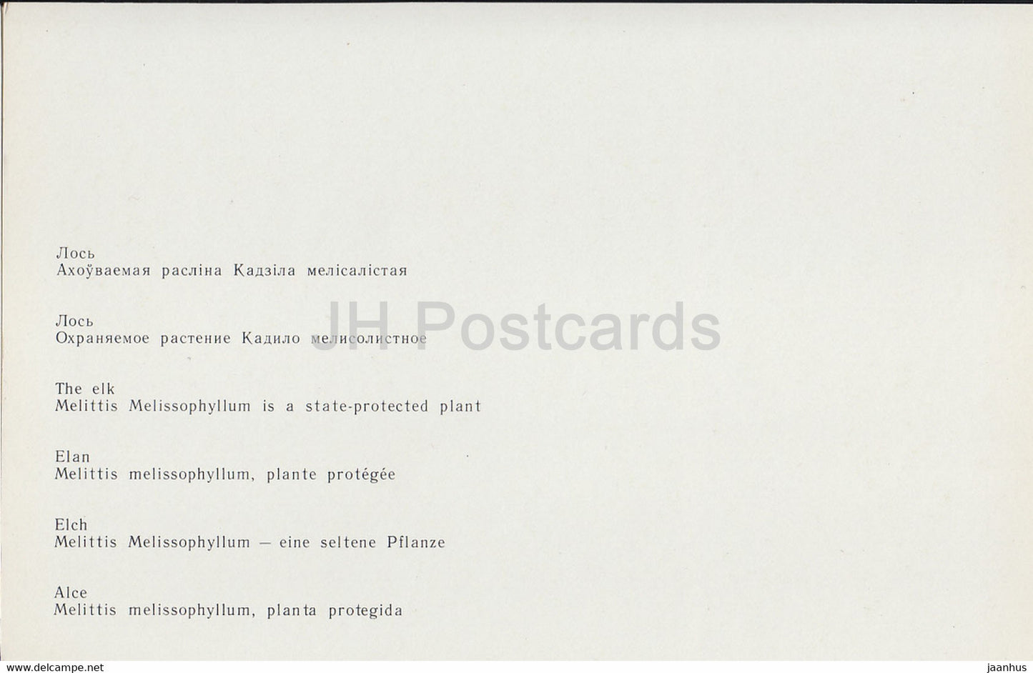 Belovezhskaya Pushcha National Park - The Elk - Melittis Melissophyllum - bastard balm - 1981 - Berarus USSR - unused