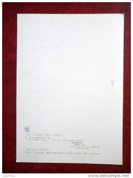 Dane - dogs - 1981 - Estonia USSR - unused - JH Postcards