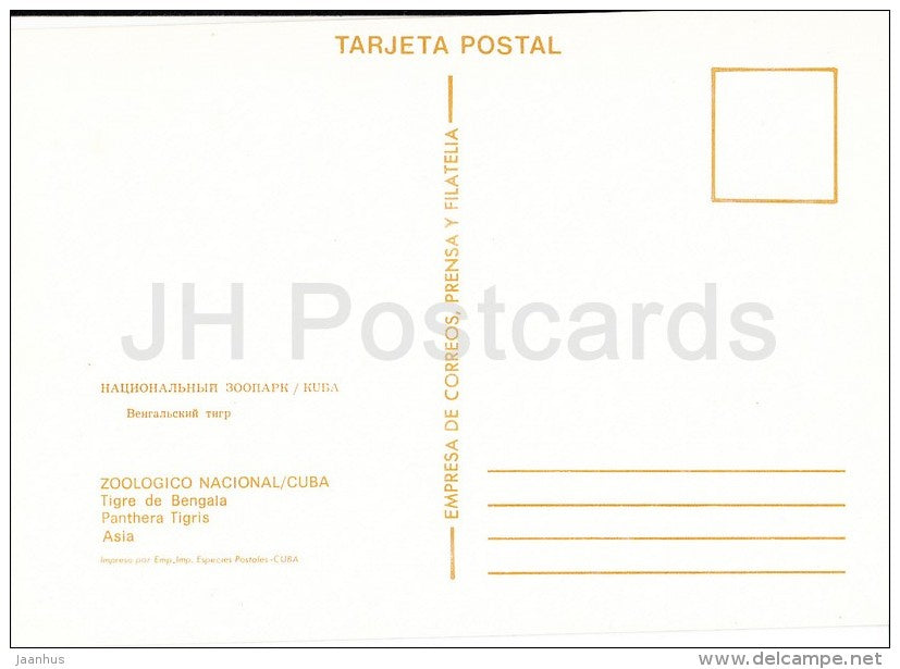 Tiger - Panthera Tigris - National Zoo - Cuba - unused - JH Postcards