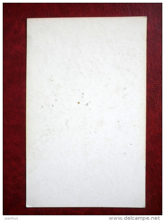 Boxer - dogs - Russia USSR - unused - JH Postcards