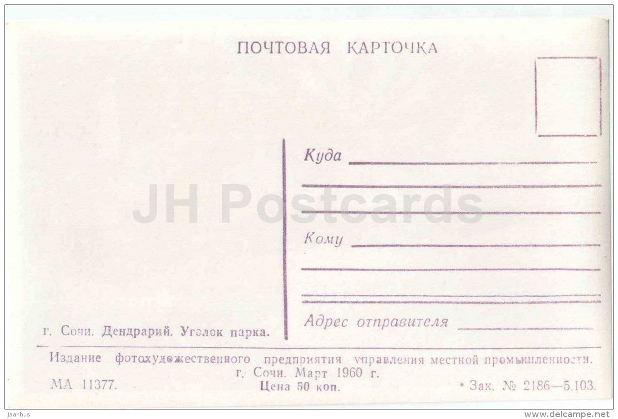 dendrarium - corner in the park - Sochi - photo card - 1960 - Russia USSR - unused - JH Postcards