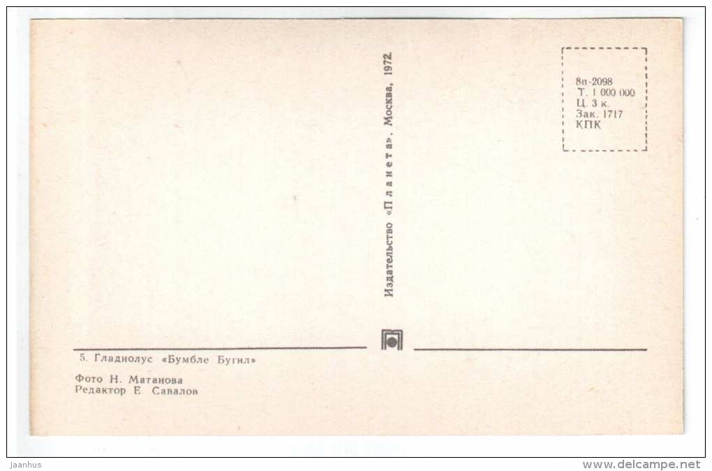 Bumble Buggy - gladiolus - flowers - 1972 - Russia USSR - unused - JH Postcards