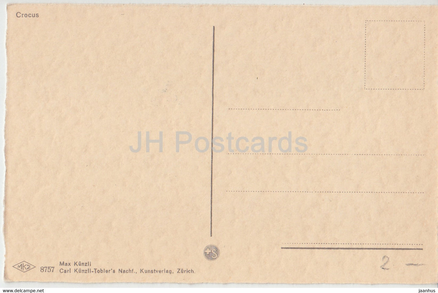 Crocus jaune blanc - fleurs - MKZ 8757 - Max Kunzli - carte postale ancienne - Suisse - inutilisé
