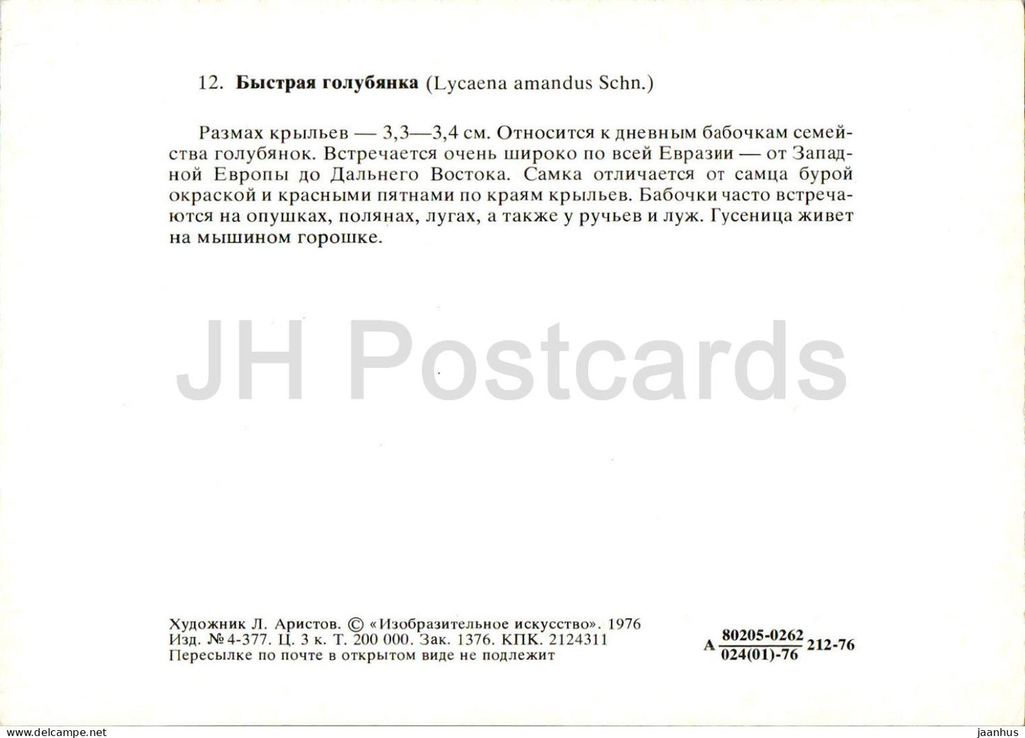 Polyommatus amandus - papillon - papillons - 1976 - Russie URSS - inutilisé