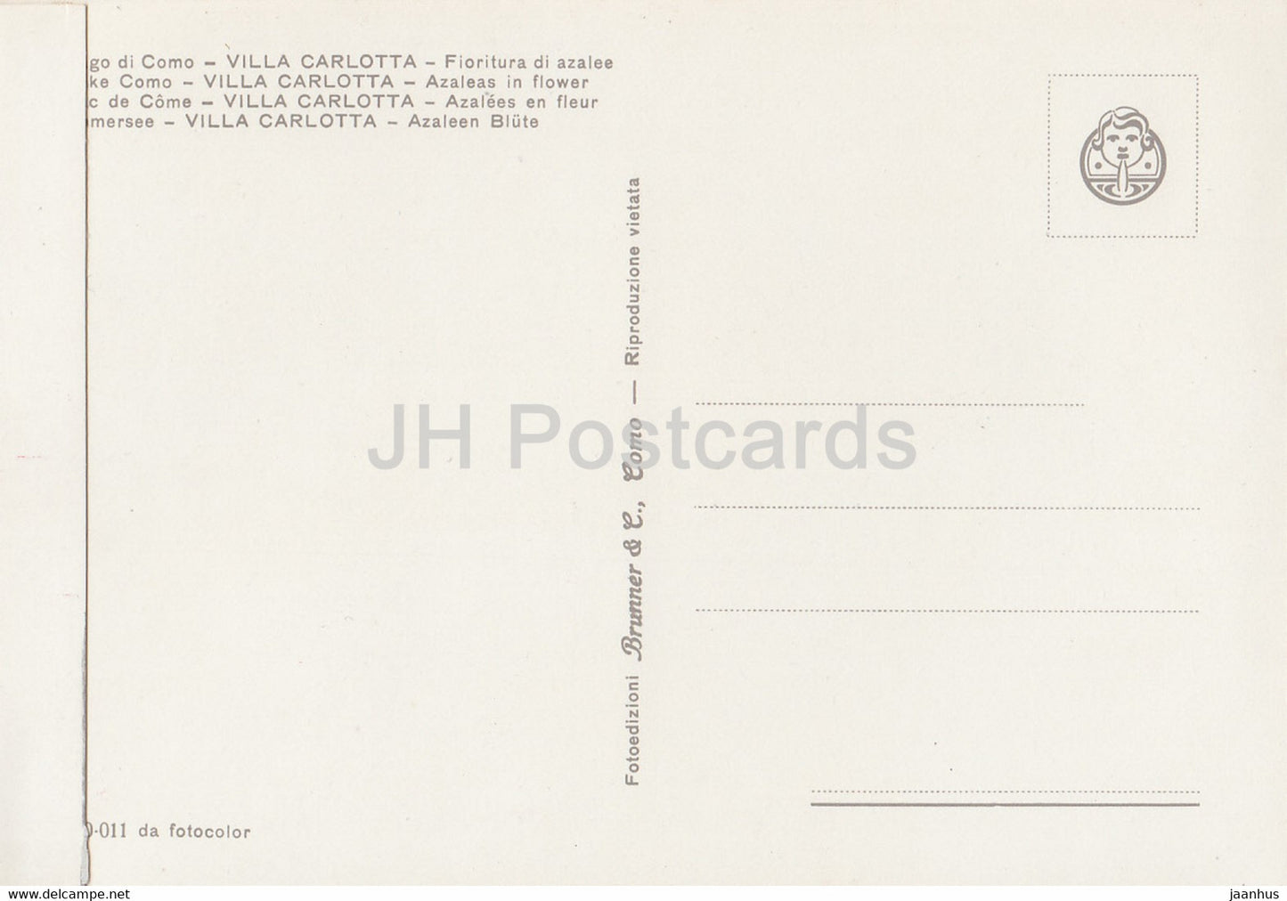 Lago di Como - Villa Carlotta - Fioritura di azalee - Azaleas in Flower - Italy - Italia - unused