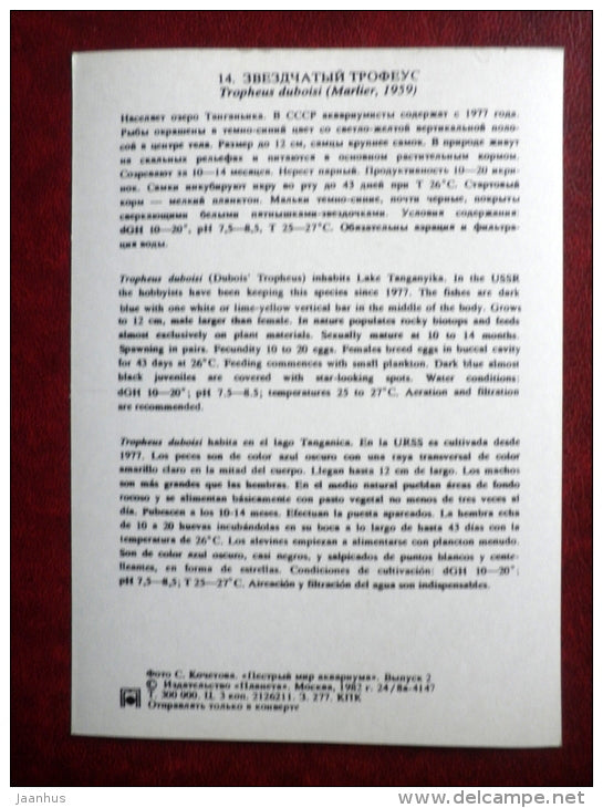 Tropheus duboisi - aquarium fishes - 1982 - Russia USSR - unused - JH Postcards