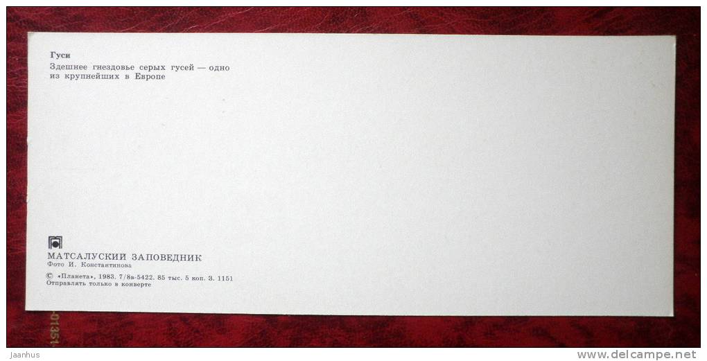 Matsalu National Park - geese - sea - 1983 - Estonia - USSR - unused - JH Postcards