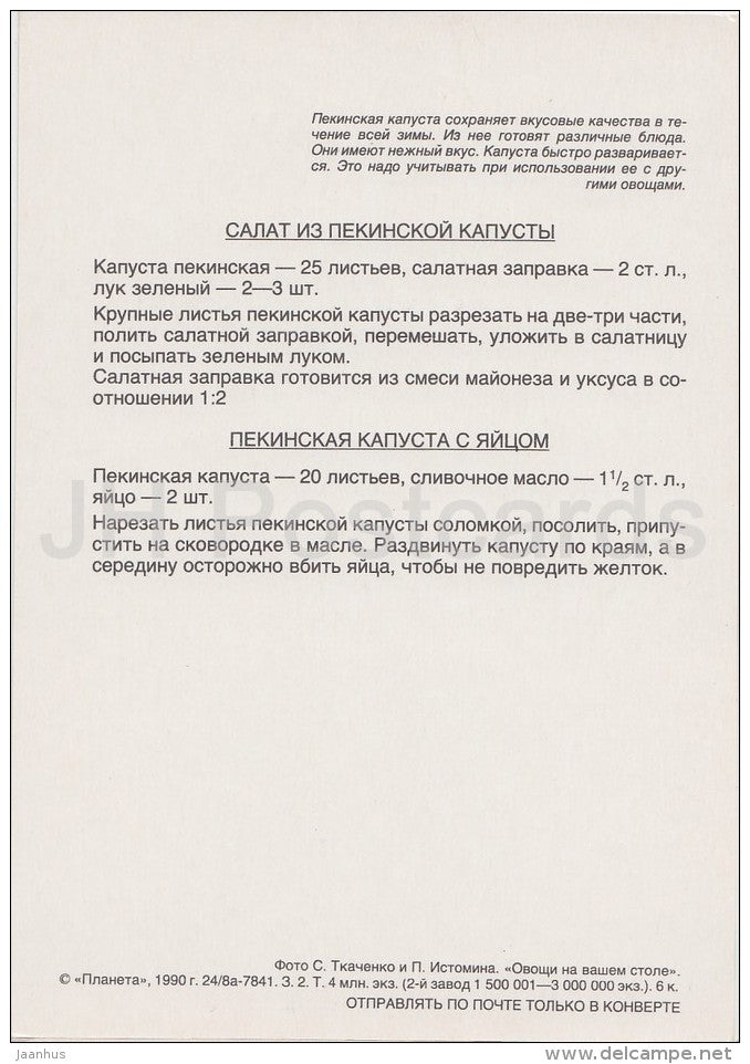 Napa cabbage salad - Vegetable Dishes - recipes - 1990 - Russia USSR - unused - JH Postcards
