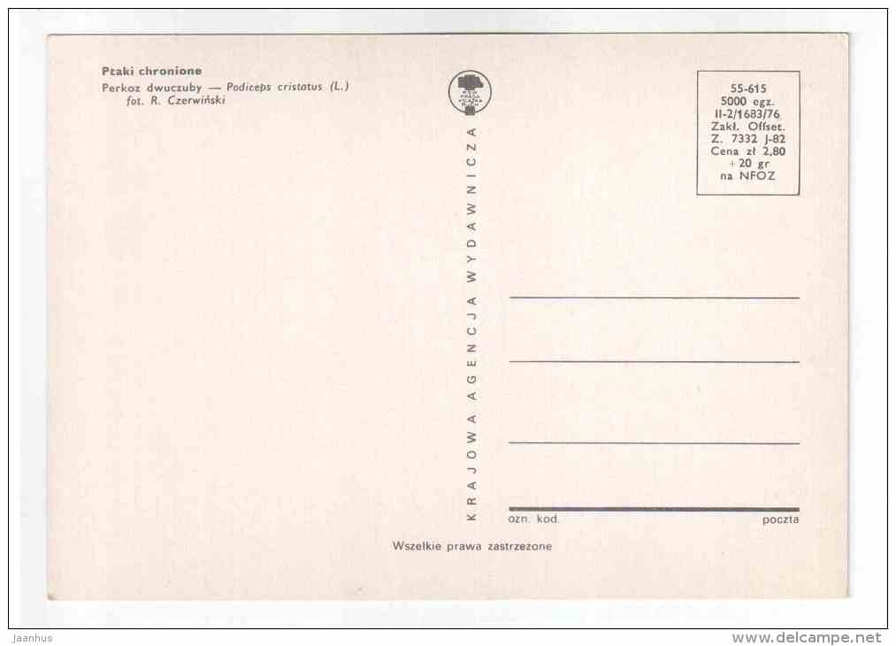 Great Crested Grebe - Podiceps cristatus - birds - 1977 - Poland - unused - JH Postcards