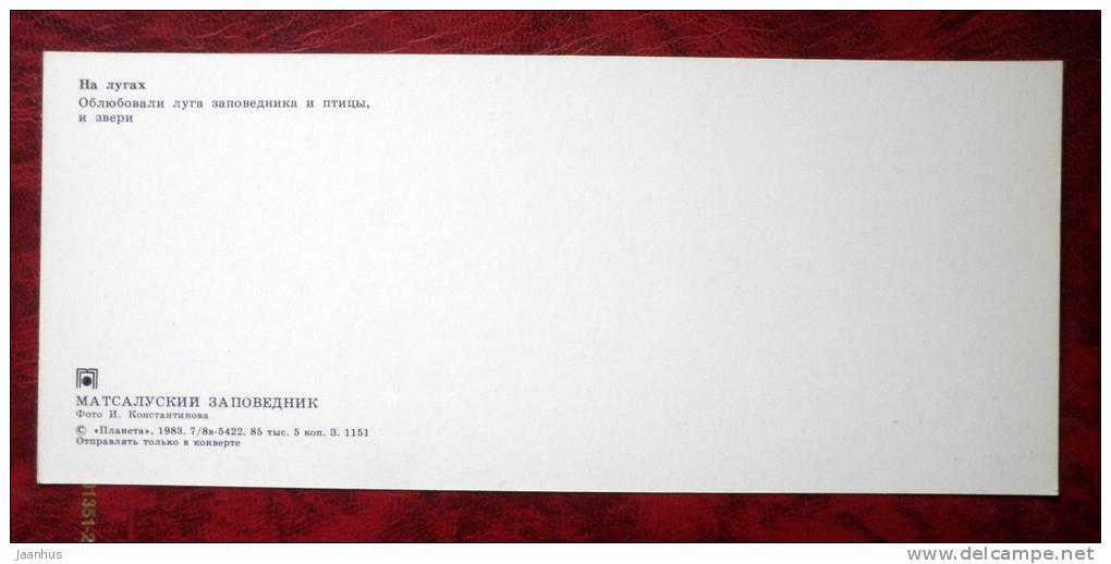 Matsalu National Park - the meadows - elk - birds - 1983 - Estonia - USSR - unused - JH Postcards