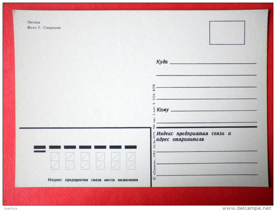 Fox - animals - 1983 - Russia USSR - unused - JH Postcards